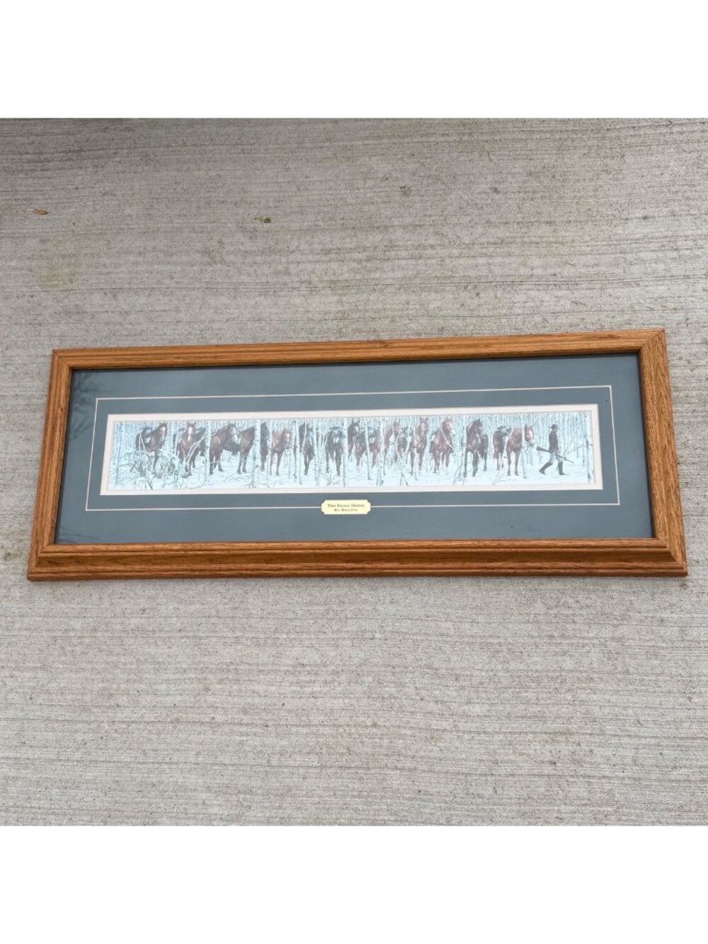 Bev Doolittle "Two Indian Horses" Framed Print